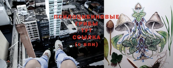 кокаин премиум Осинники