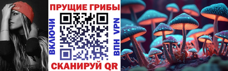hydra маркетплейс  Адыгейск  Псилоцибиновые грибы Psilocybe 