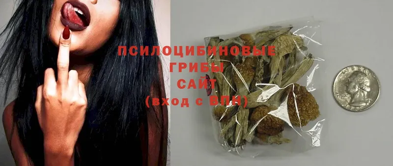 Галлюциногенные грибы Magic Shrooms Адыгейск