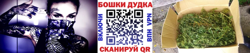 Каннабис конопля Адыгейск